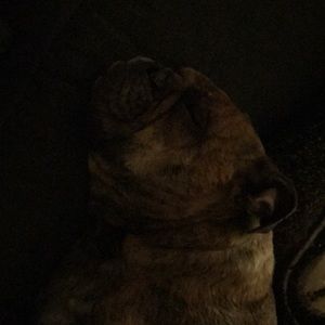 Meet your Posher, Matt